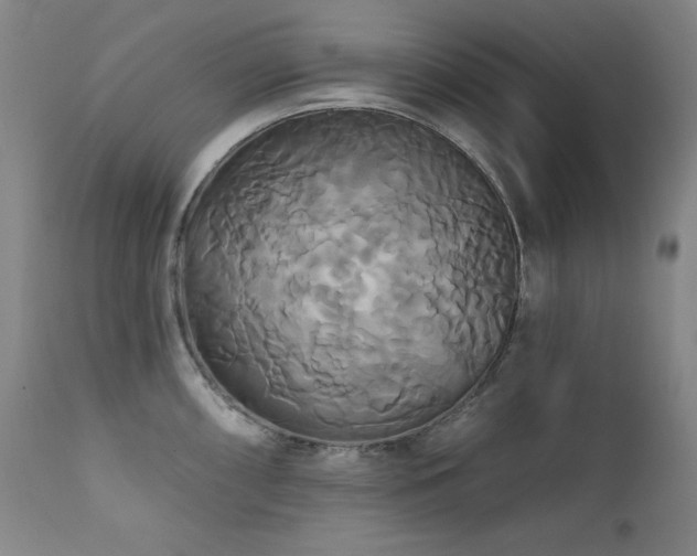 X0000111821098200907231312