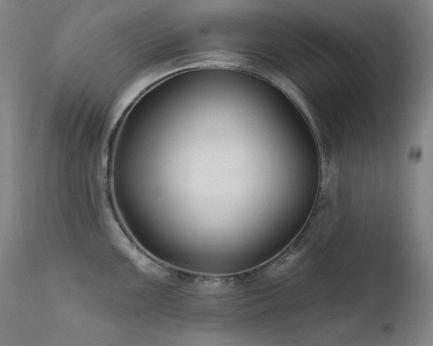 X0000111821099200907231312