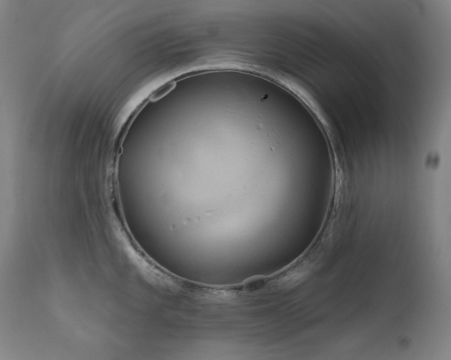 X0000111821101200907231312