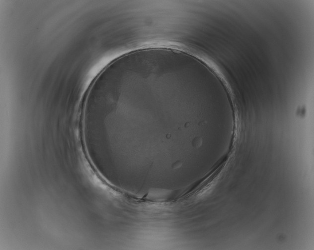 X0000111821102200907231312