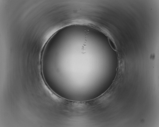 X0000111821103200907231312