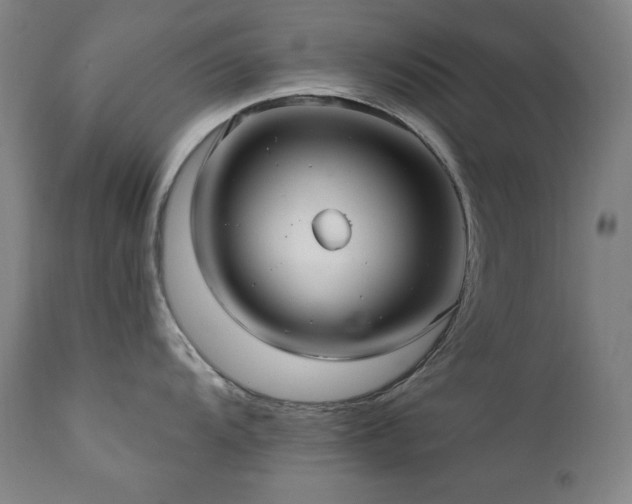X0000111821104200907231312
