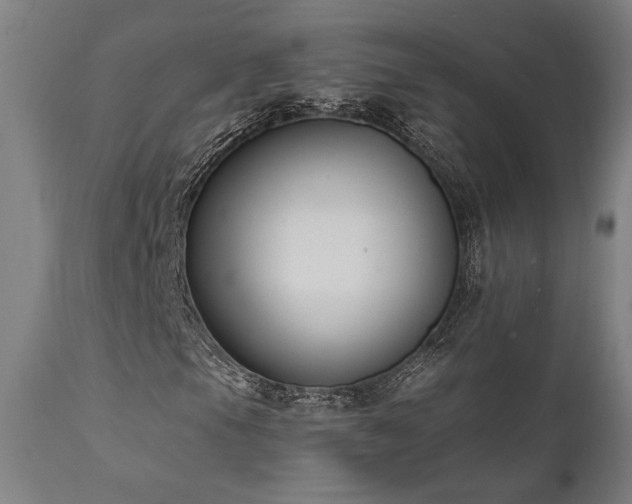 X0000111821105200907231311