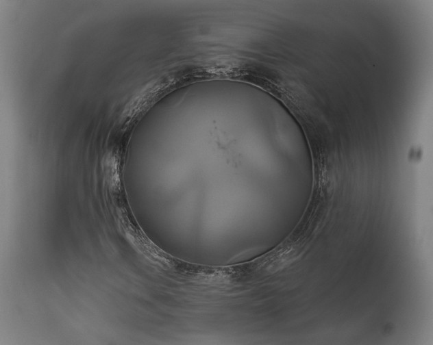 X0000111821106200907231311