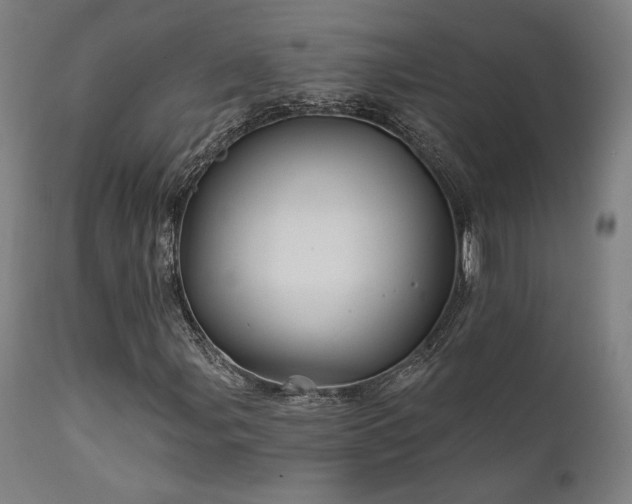 X0000111821107200907231311