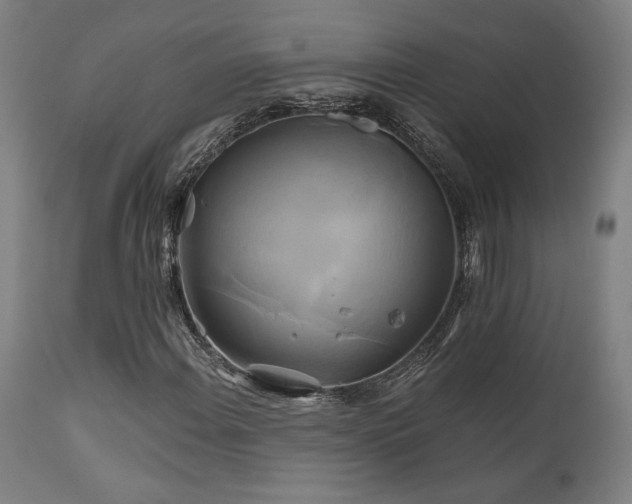 X0000111821108200907231311