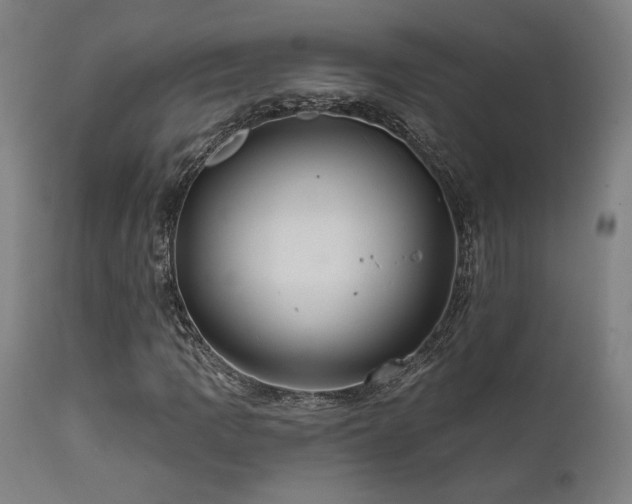 X0000111821109200907231311