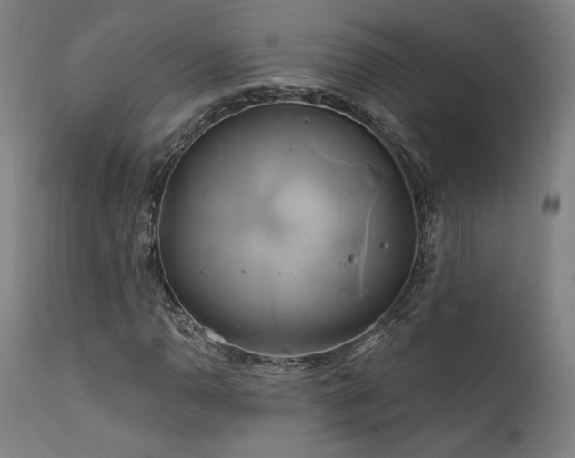 X0000111821110200907231311