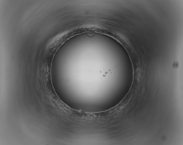 X0000111821111200907231311