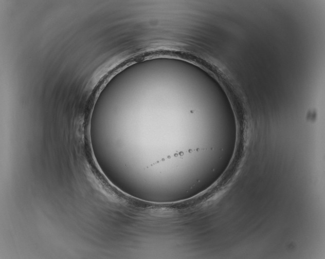 X0000111821113200907231311
