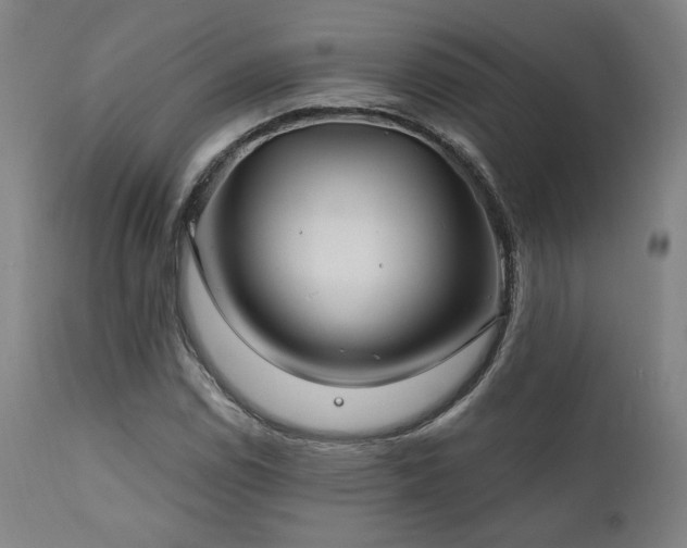 X0000111821114200907231311