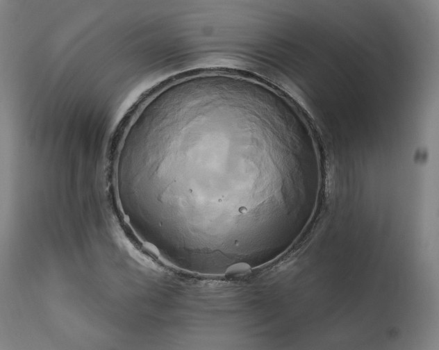 X0000111821116200907231311