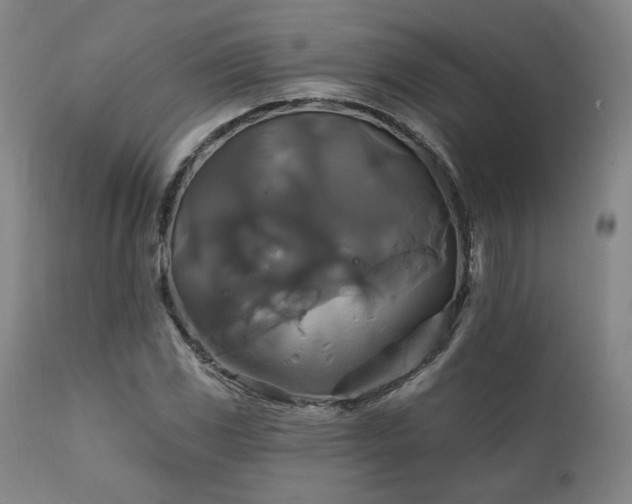 X0000111821117200907231311