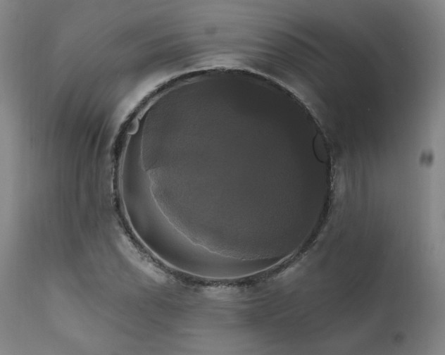 X0000111821118200907231311