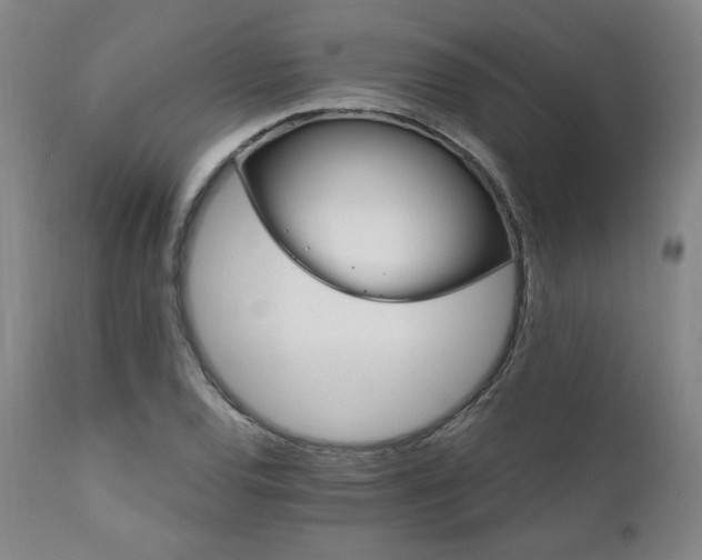 X0000111821120200907231311