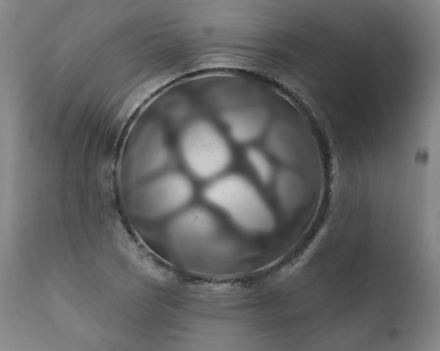 X0000111821121200907231312