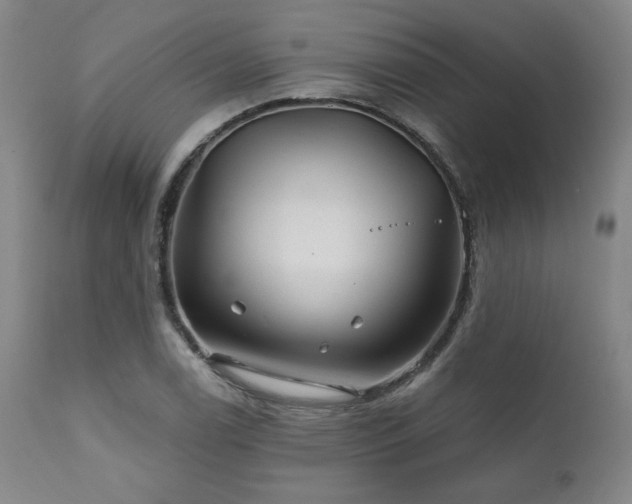 X0000111821122200907231312