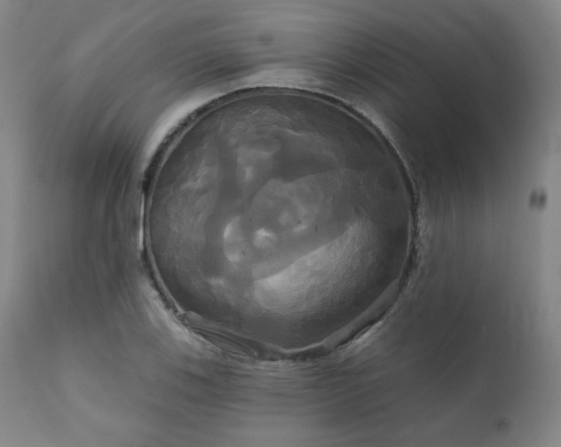 X0000111821123200907231312