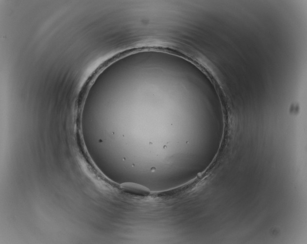 X0000111821124200907231312