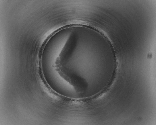 X0000111821125200907231312