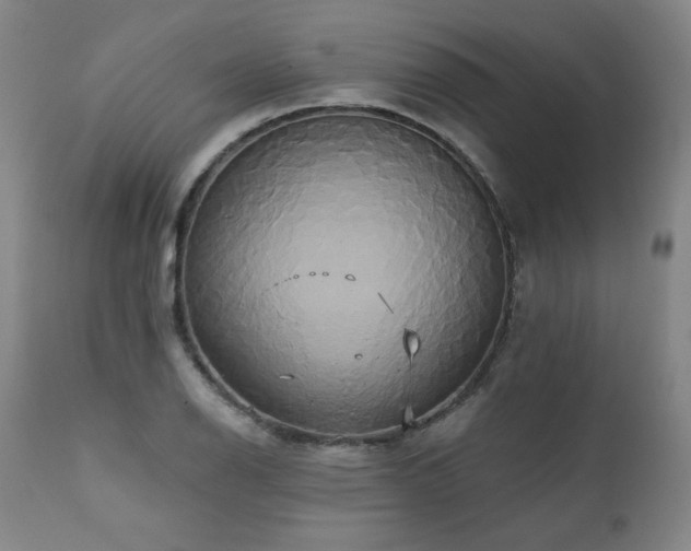 X0000111821126200907231312