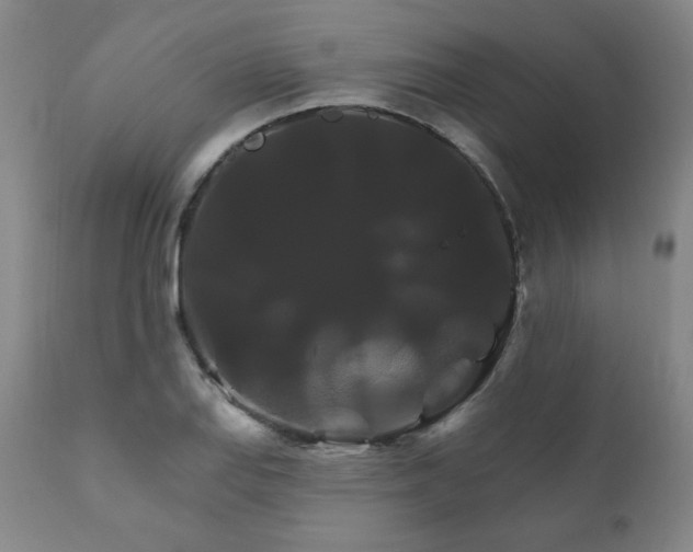 X0000111821127200907231312