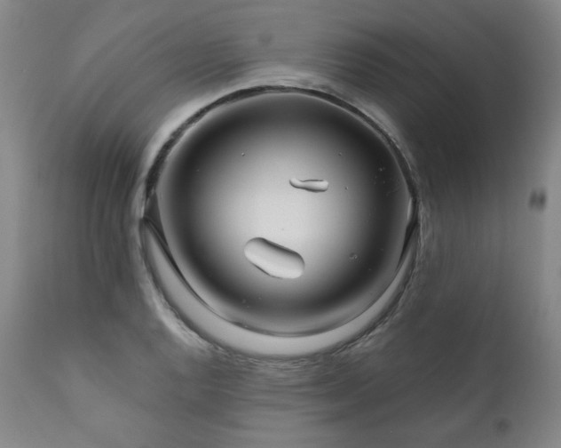 X0000111821128200907231312