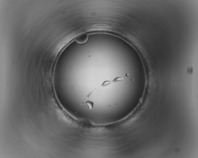 X0000111821129200907231312