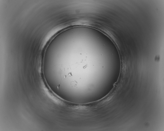 X0000111821131200907231312