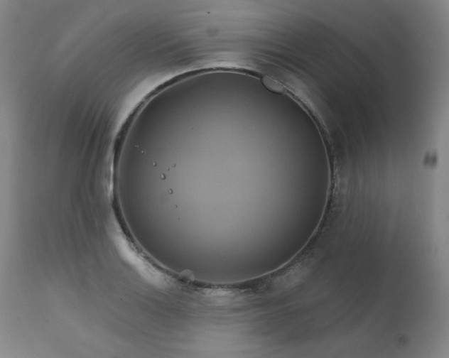 X0000111821132200907231312