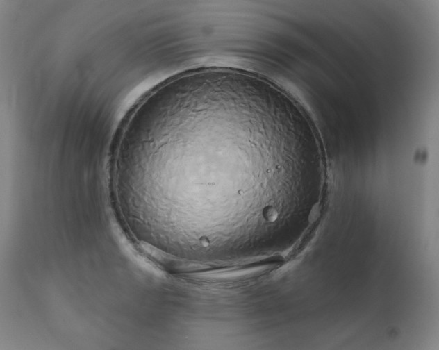 X0000111821133200907231312