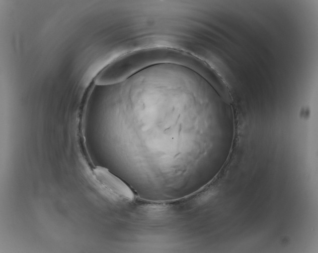 X0000111821134200907231312