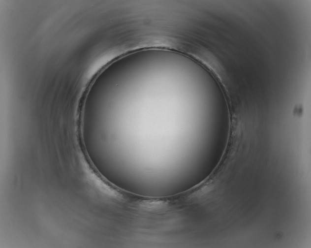 X0000111821135200907231312