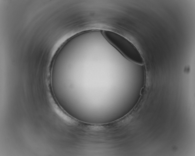 X0000111821136200907231312