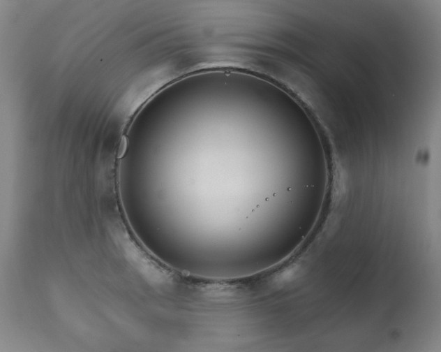 X0000111821137200907231312