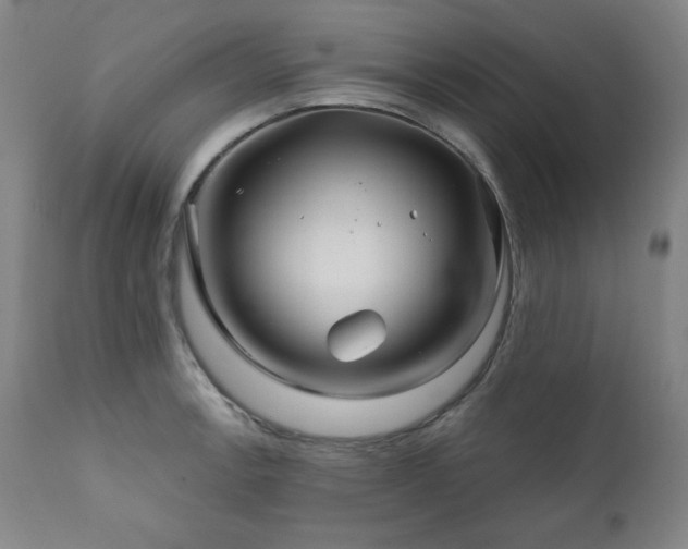 X0000111821138200907231312