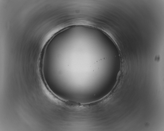 X0000111821139200907231312