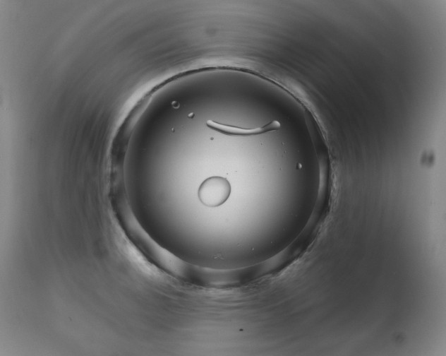 X0000111821140200907231312