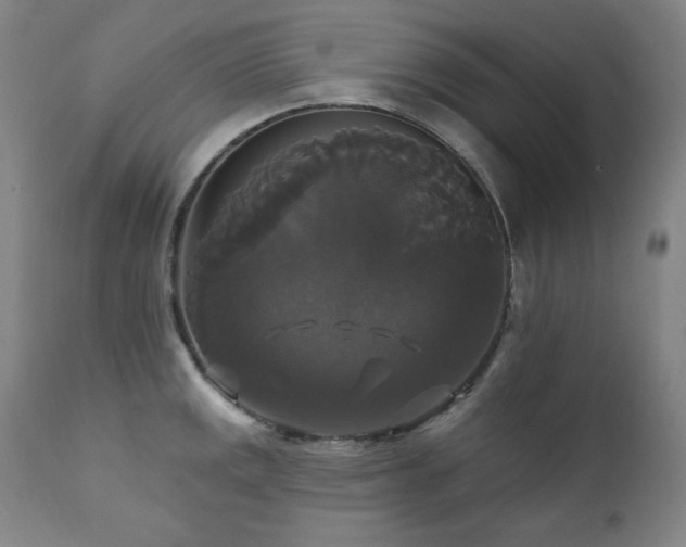 X0000111821141200907231312