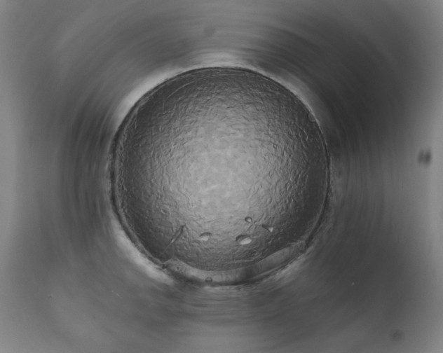 X0000111821142200907231312