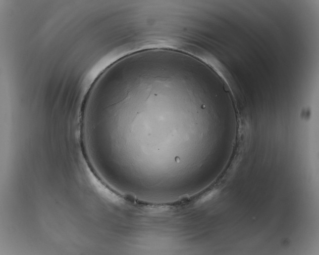 X0000111821143200907231312