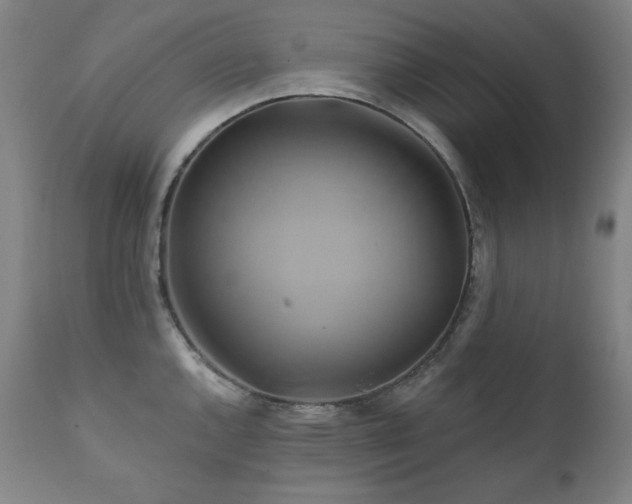 X0000111821144200907231312