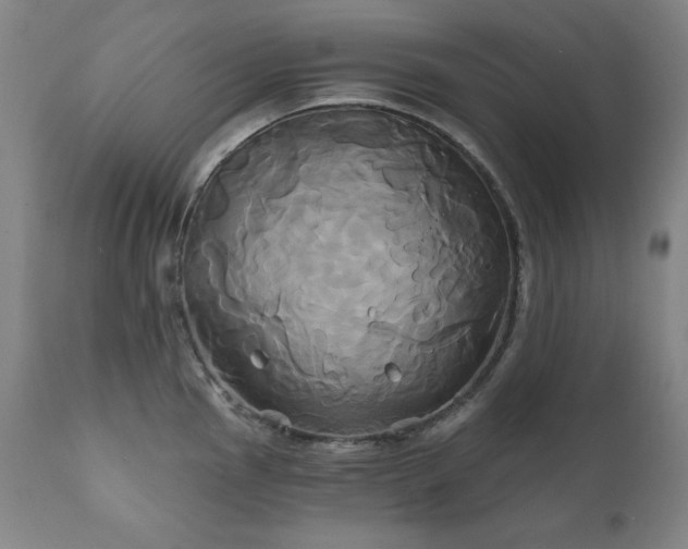 X0000111821145200907231312