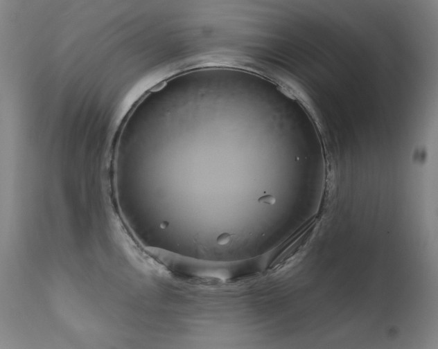 X0000111821146200907231312