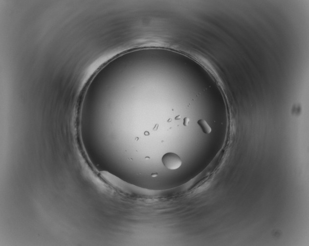 X0000111821149200907231312