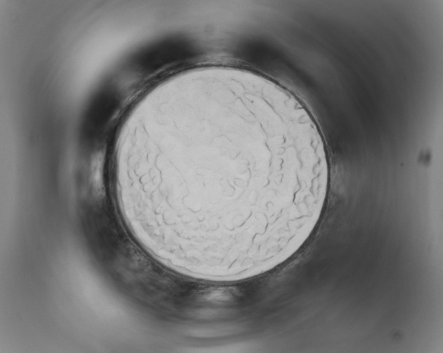 X0000111821150200907231312