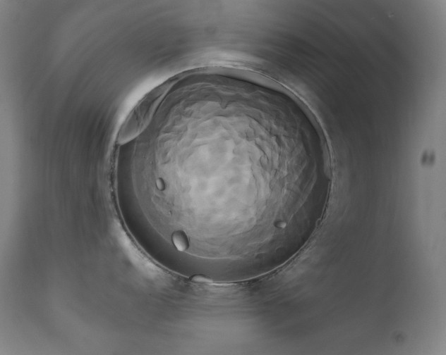 X0000111821152200907231312