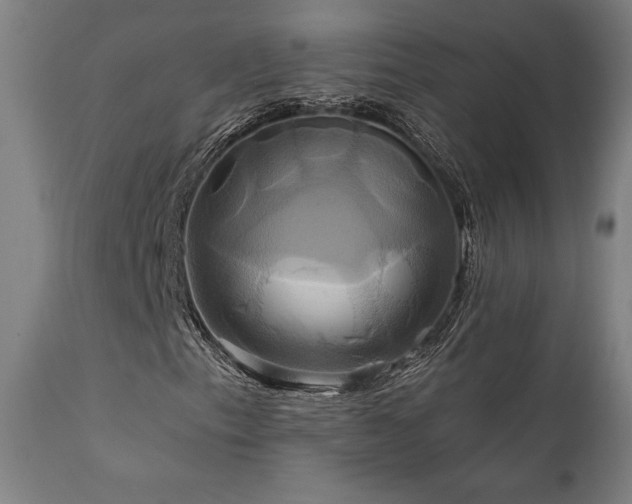 X0000111821153200907231311