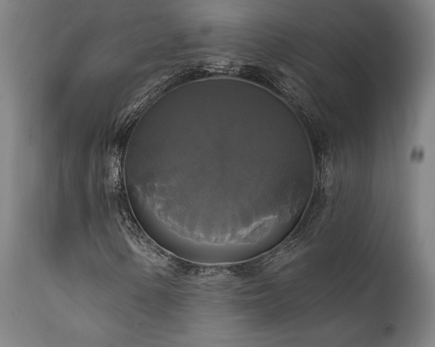 X0000111821154200907231311