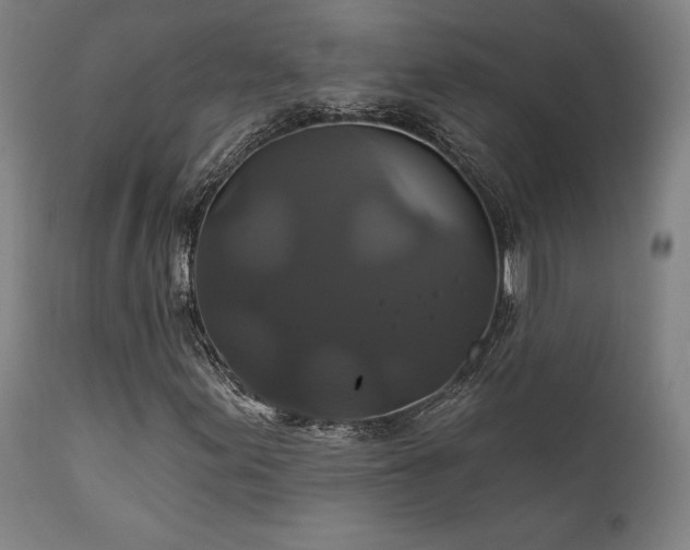 X0000111821155200907231311